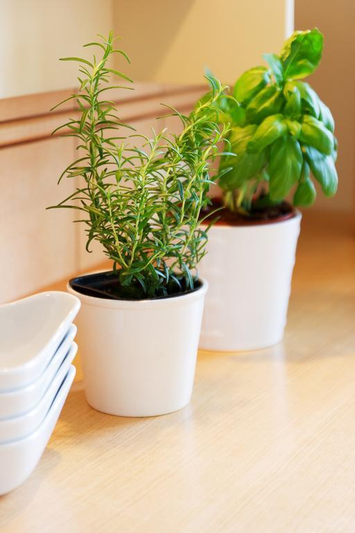Apartament Sophie Sopot Dış mekan fotoğraf
